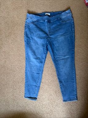 Lane Bryant Blue Stretch Jeggings